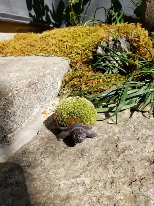 陽運寺(東京都)
