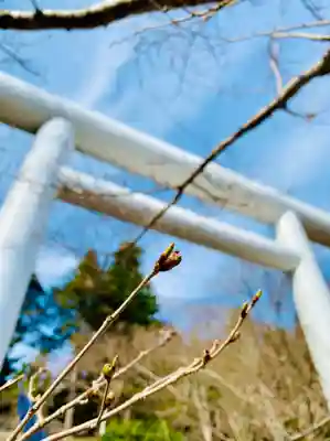 土津神社|こどもと出世の神さまの鳥居