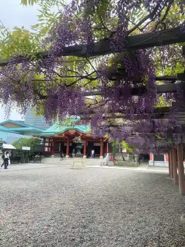 日枝神社の自然