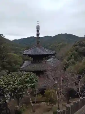 一乗寺の{uncategorized: "未分類", other: "その他", undefined: "問題あり", building: "その他建物", grave: "お墓", sacred_gate: "鳥居", guardian: "狛犬", statue: "像", buddha: "仏像", history: "歴史", nature: "自然", garden: "庭園", animal: "動物", pagoda: "塔", temizu: "手水舎", mountain_gate: "山門・神門", sanctuary: "本殿・本堂", subordinate: "末社・摂社", art: "芸術", scenery: "景色", jizo: "地蔵", ema: "絵馬", goshuin: "御朱印", omikuji: "おみくじ", items: "授与品その他", amulet: "お守り", goshuincho: "御朱印帳", eats: "食事", festival: "お祭り", votive_dance: "神楽", shichigosan: "七五三参", wedding: "結婚式", experience: "体験その他", initially: "初詣", around: "周辺", anti_infection: "感染症対策"}
