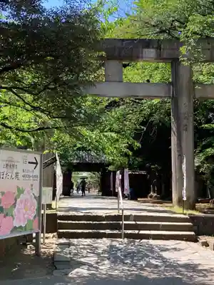 上野東照宮の鳥居
