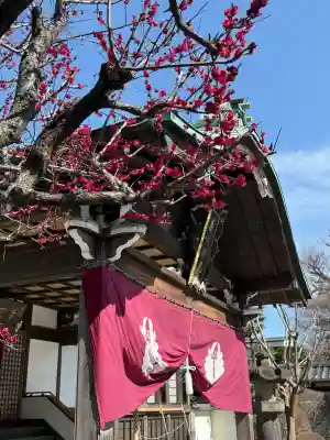 普門院の{uncategorized: "未分類", other: "その他", undefined: "問題あり", building: "その他建物", grave: "お墓", sacred_gate: "鳥居", guardian: "狛犬", statue: "像", buddha: "仏像", history: "歴史", nature: "自然", garden: "庭園", animal: "動物", pagoda: "塔", temizu: "手水舎", mountain_gate: "山門・神門", sanctuary: "本殿・本堂", subordinate: "末社・摂社", art: "芸術", scenery: "景色", jizo: "地蔵", ema: "絵馬", goshuin: "御朱印", omikuji: "おみくじ", items: "授与品その他", amulet: "お守り", goshuincho: "御朱印帳", eats: "食事", festival: "お祭り", votive_dance: "神楽", shichigosan: "七五三参", wedding: "結婚式", experience: "体験その他", initially: "初詣", around: "周辺", anti_infection: "感染症対策"}