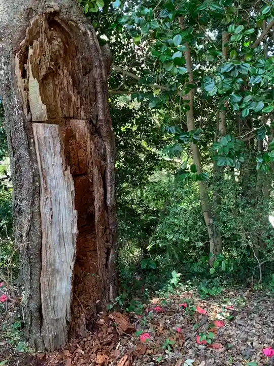 瀧神社(茨城県)