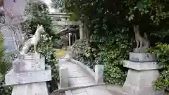 木嶋坐天照御魂神社の狛犬