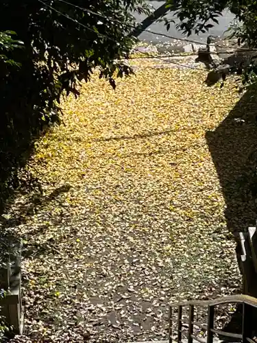 蝉丸神社の景色