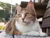 ウッチー