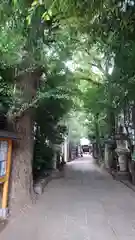 戸越八幡神社の建物その他