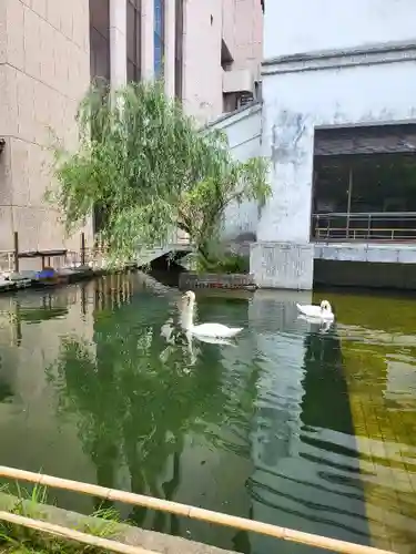 頂法寺（六角堂）(京都府)