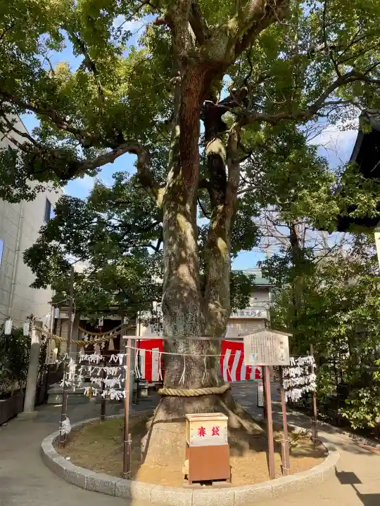 溝口神社の{uncategorized: "未分類", other: "その他", undefined: "問題あり", building: "その他建物", grave: "お墓", sacred_gate: "鳥居", guardian: "狛犬", statue: "像", buddha: "仏像", history: "歴史", nature: "自然", garden: "庭園", animal: "動物", pagoda: "塔", temizu: "手水舎", mountain_gate: "山門・神門", sanctuary: "本殿・本堂", subordinate: "末社・摂社", art: "芸術", scenery: "景色", jizo: "地蔵", ema: "絵馬", goshuin: "御朱印", omikuji: "おみくじ", items: "授与品その他", amulet: "お守り", goshuincho: "御朱印帳", eats: "食事", festival: "お祭り", votive_dance: "神楽", shichigosan: "七五三参", wedding: "結婚式", experience: "体験その他", initially: "初詣", around: "周辺", anti_infection: "感染症対策"}