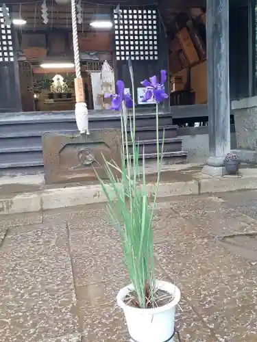 伏木香取神社(茨城県)