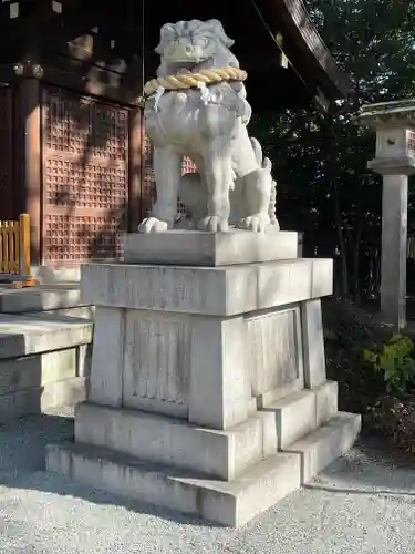 兵庫縣姫路護國神社の狛犬