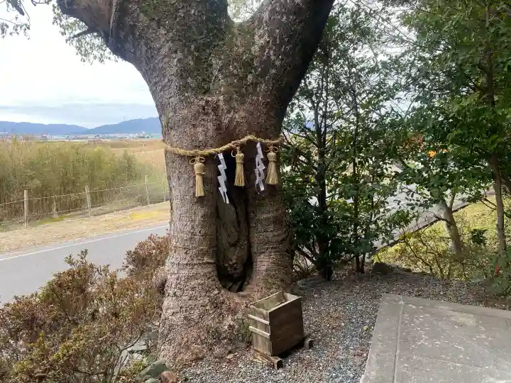 八幡神社の{uncategorized: "未分類", other: "その他", undefined: "問題あり", building: "その他建物", grave: "お墓", sacred_gate: "鳥居", guardian: "狛犬", statue: "像", buddha: "仏像", history: "歴史", nature: "自然", garden: "庭園", animal: "動物", pagoda: "塔", temizu: "手水舎", mountain_gate: "山門・神門", sanctuary: "本殿・本堂", subordinate: "末社・摂社", art: "芸術", scenery: "景色", jizo: "地蔵", ema: "絵馬", goshuin: "御朱印", omikuji: "おみくじ", items: "授与品その他", amulet: "お守り", goshuincho: "御朱印帳", eats: "食事", festival: "お祭り", votive_dance: "神楽", shichigosan: "七五三参", wedding: "結婚式", experience: "体験その他", initially: "初詣", around: "周辺", anti_infection: "感染症対策"}