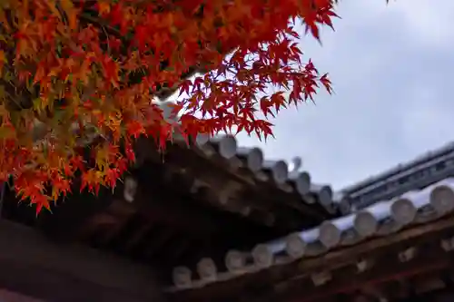 離宮八幡宮(京都府)