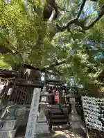 三島神社の{uncategorized: "未分類", other: "その他", undefined: "問題あり", building: "その他建物", grave: "お墓", sacred_gate: "鳥居", guardian: "狛犬", statue: "像", buddha: "仏像", history: "歴史", nature: "自然", garden: "庭園", animal: "動物", pagoda: "塔", temizu: "手水舎", mountain_gate: "山門・神門", sanctuary: "本殿・本堂", subordinate: "末社・摂社", art: "芸術", scenery: "景色", jizo: "地蔵", ema: "絵馬", goshuin: "御朱印", omikuji: "おみくじ", items: "授与品その他", amulet: "お守り", goshuincho: "御朱印帳", eats: "食事", festival: "お祭り", votive_dance: "神楽", shichigosan: "七五三参", wedding: "結婚式", experience: "体験その他", initially: "初詣", around: "周辺", anti_infection: "感染症対策"}