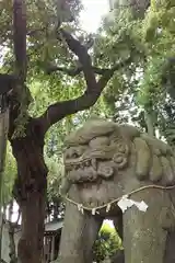 三島八幡神社の狛犬