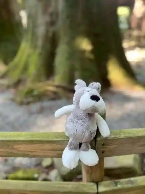 河口浅間神社(山梨県)