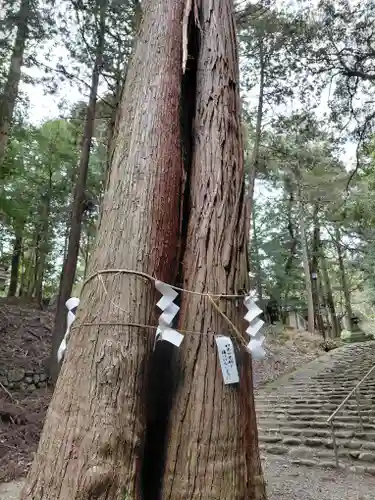 元伊勢内宮 皇大神社(京都府)