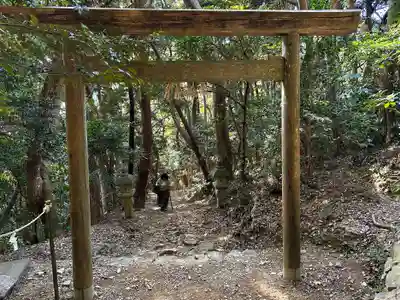 伊射波神社の鳥居