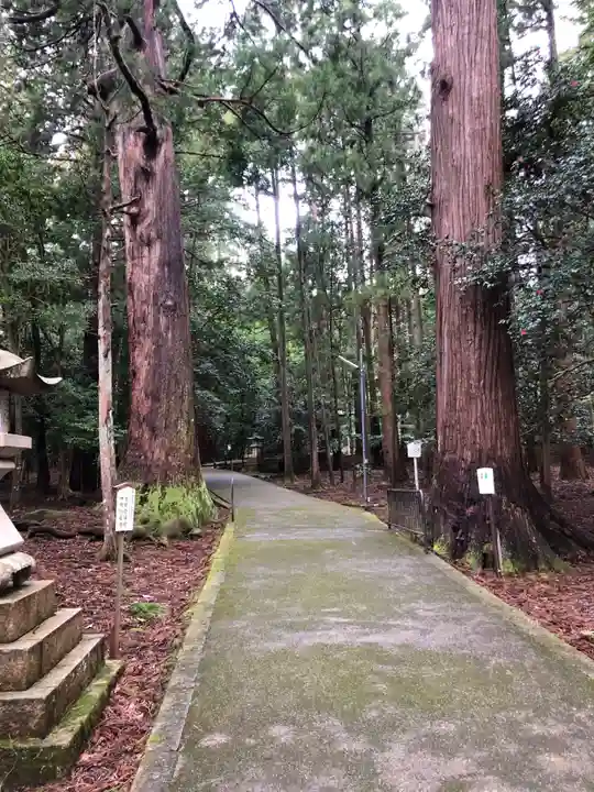 若狭彦神社(上社)(福井県)