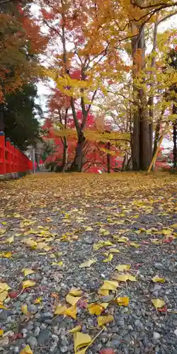 出雲大神宮の自然