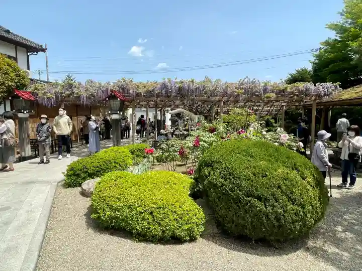 金蛇水神社の{uncategorized: "未分類", other: "その他", undefined: "問題あり", building: "その他建物", grave: "お墓", sacred_gate: "鳥居", guardian: "狛犬", statue: "像", buddha: "仏像", history: "歴史", nature: "自然", garden: "庭園", animal: "動物", pagoda: "塔", temizu: "手水舎", mountain_gate: "山門・神門", sanctuary: "本殿・本堂", subordinate: "末社・摂社", art: "芸術", scenery: "景色", jizo: "地蔵", ema: "絵馬", goshuin: "御朱印", omikuji: "おみくじ", items: "授与品その他", amulet: "お守り", goshuincho: "御朱印帳", eats: "食事", festival: "お祭り", votive_dance: "神楽", shichigosan: "七五三参", wedding: "結婚式", experience: "体験その他", initially: "初詣", around: "周辺", anti_infection: "感染症対策"}