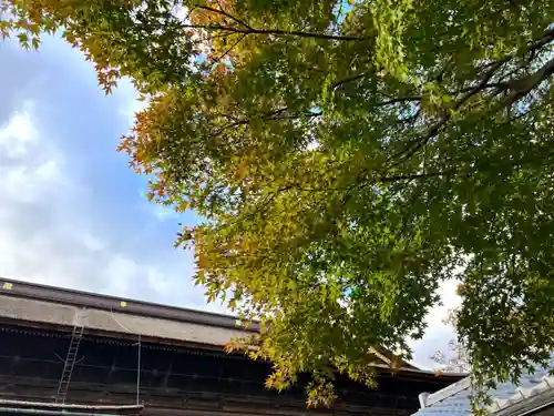 善光寺(長野県)