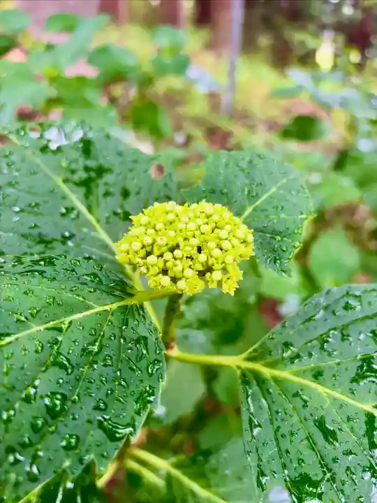 蚊里田八幡宮(長野県)