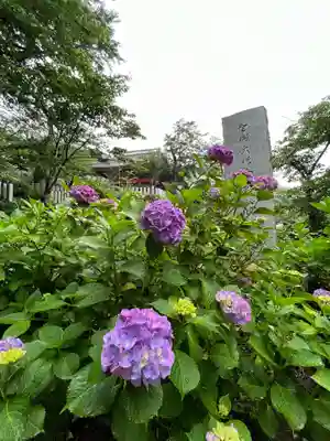 楽法寺（雨引観音）(茨城県)