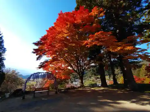 正一位 若草稲荷神社の自然