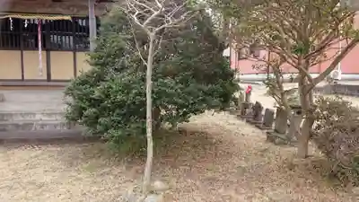 延命地蔵尊(静岡県)