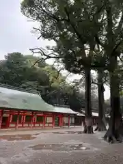 武蔵一宮氷川神社(埼玉県)