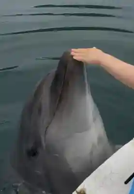 喜多浦八幡大神神社(愛媛県)