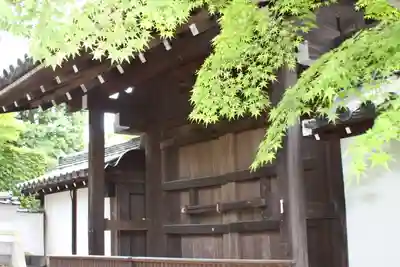 東福禅寺（東福寺）(京都府)
