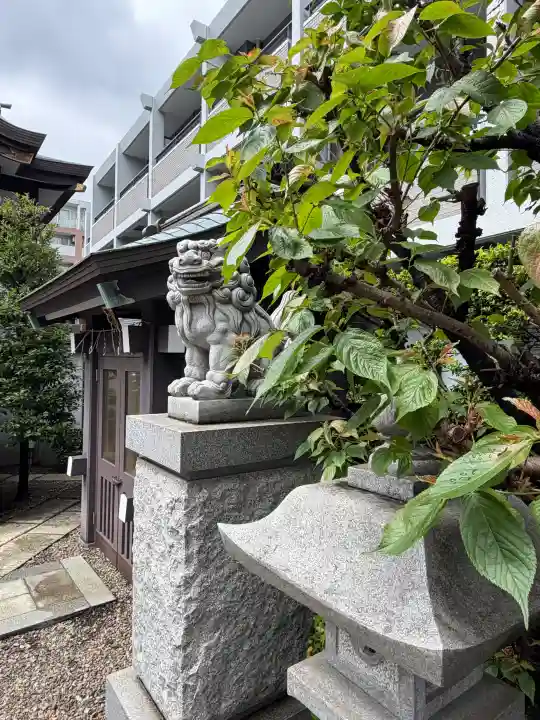 神楽坂若宮八幡神社の狛犬