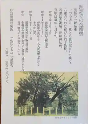 照源寺(三重県)