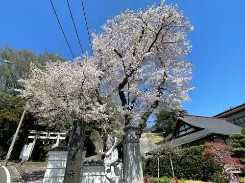 無量寺(神奈川県)