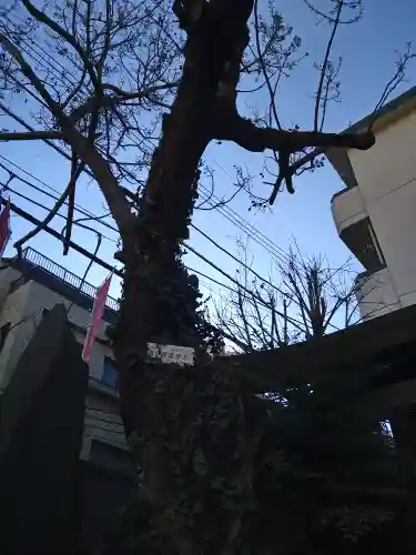 榮久山大法寺(東京都)