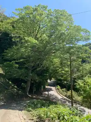 大代神社(千葉県)