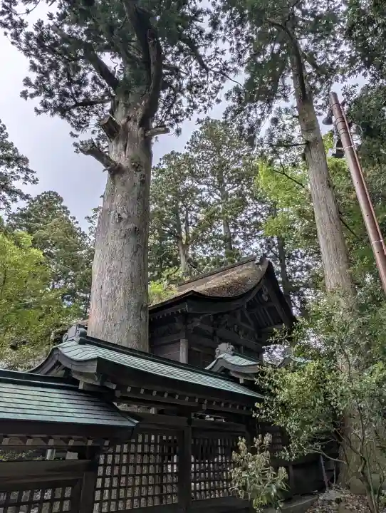 雄山神社峰本社の{uncategorized: "未分類", other: "その他", undefined: "問題あり", building: "その他建物", grave: "お墓", sacred_gate: "鳥居", guardian: "狛犬", statue: "像", buddha: "仏像", history: "歴史", nature: "自然", garden: "庭園", animal: "動物", pagoda: "塔", temizu: "手水舎", mountain_gate: "山門・神門", sanctuary: "本殿・本堂", subordinate: "末社・摂社", art: "芸術", scenery: "景色", jizo: "地蔵", ema: "絵馬", goshuin: "御朱印", omikuji: "おみくじ", items: "授与品その他", amulet: "お守り", goshuincho: "御朱印帳", eats: "食事", festival: "お祭り", votive_dance: "神楽", shichigosan: "七五三参", wedding: "結婚式", experience: "体験その他", initially: "初詣", around: "周辺", anti_infection: "感染症対策"}