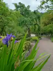 勝尾寺(大阪府)