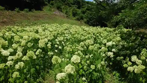 陽林寺(福島県)