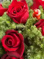 上尾御嶽神社(埼玉県)