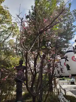 堀越神社の自然