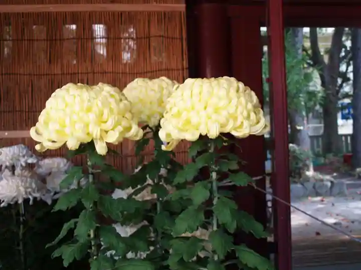 笠間稲荷神社(茨城県)
