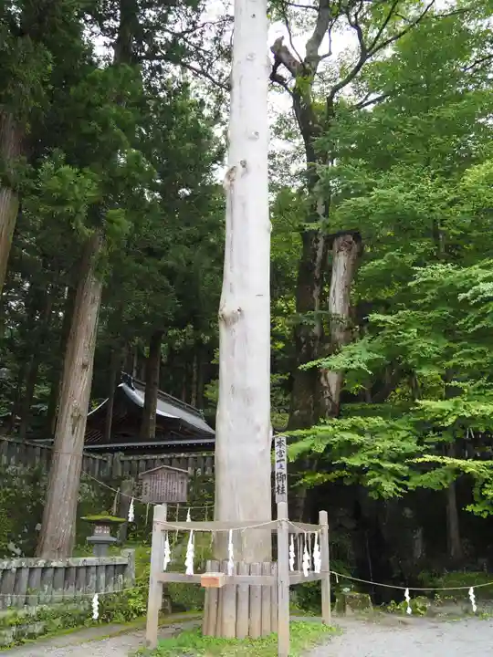 諏訪大社の自然