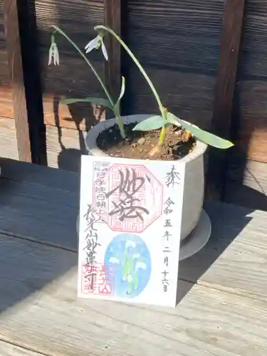 妙蓮寺(神奈川県)