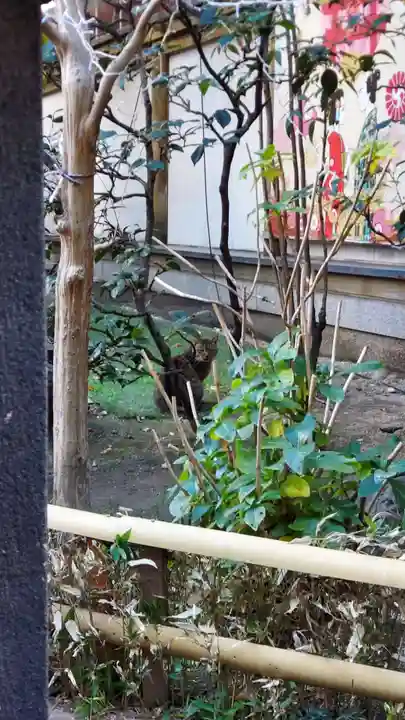 露天神社(お初天神)(大阪府)
