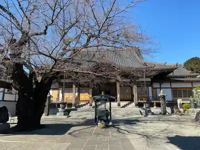 大林寺の本殿・本堂