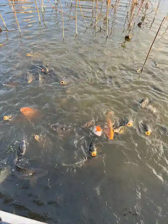 青井阿蘇神社(熊本県)