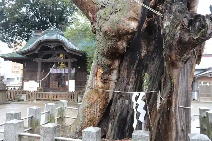 阿邪訶根神社のその他建物